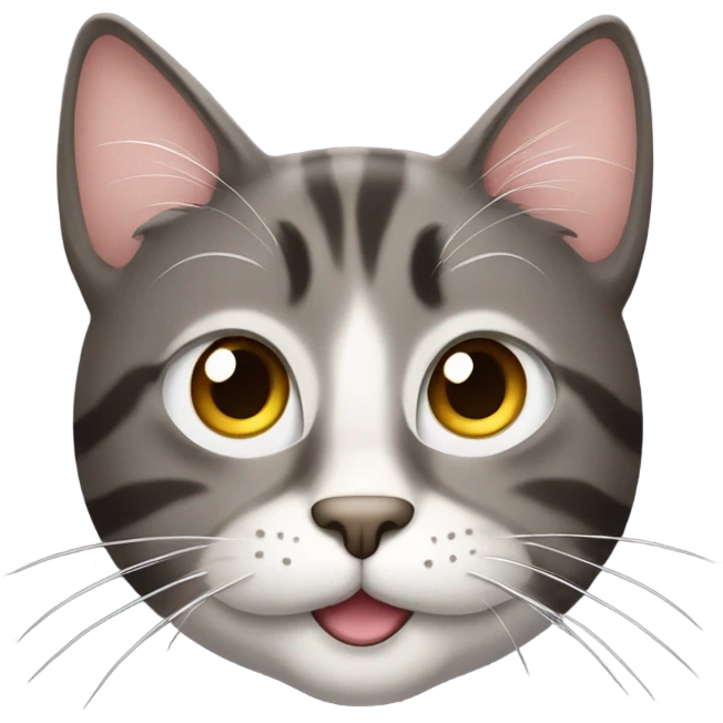 À smiilling cat emoji