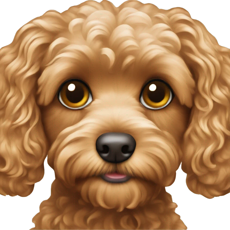 tan cavapoo emoji
