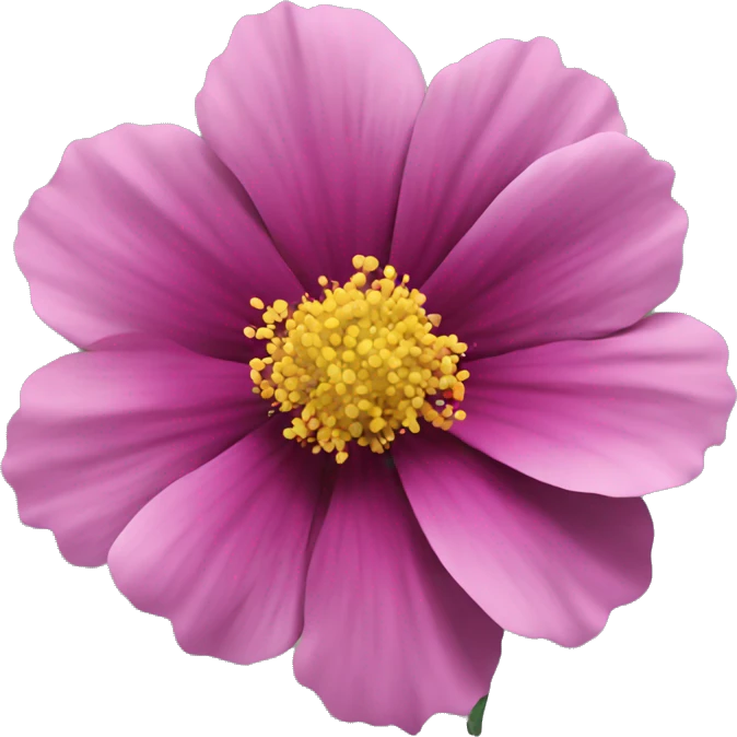 cosmo flower emoji