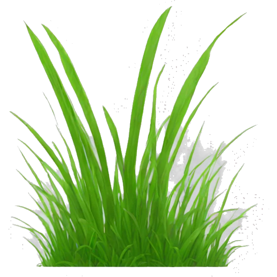 grass emoji