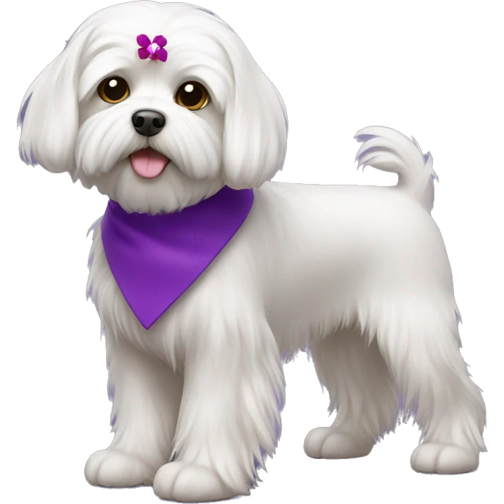 Maltese dog with purple collar emoji