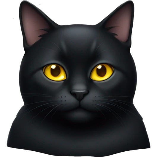 Fat black cat with yellow eyes  emoji
