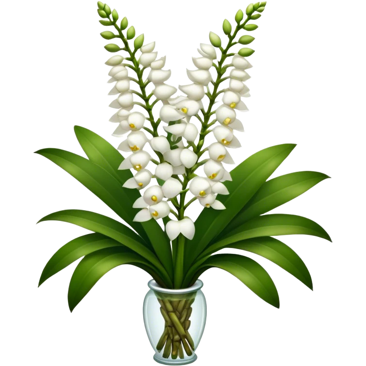 super big bouquet white Rhynchostylis Orchid, stem, leaf emoji