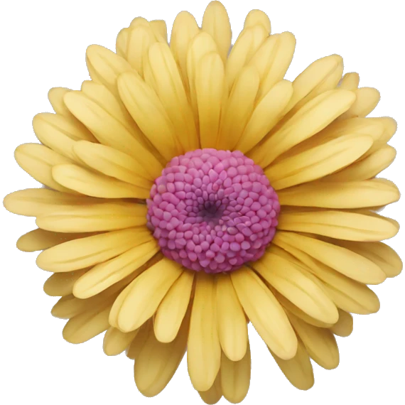 chrysanthemum flower emoji