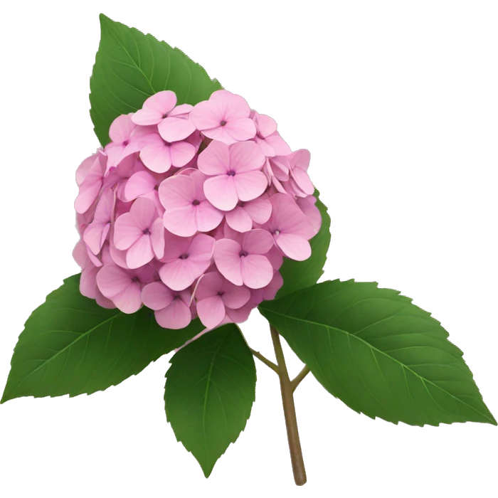 Pink hydrangea emoji