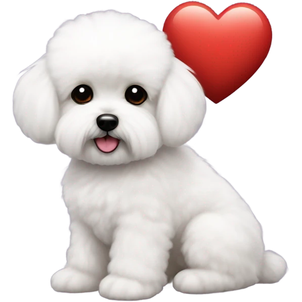 Maltese Bichon with a red heart emoji