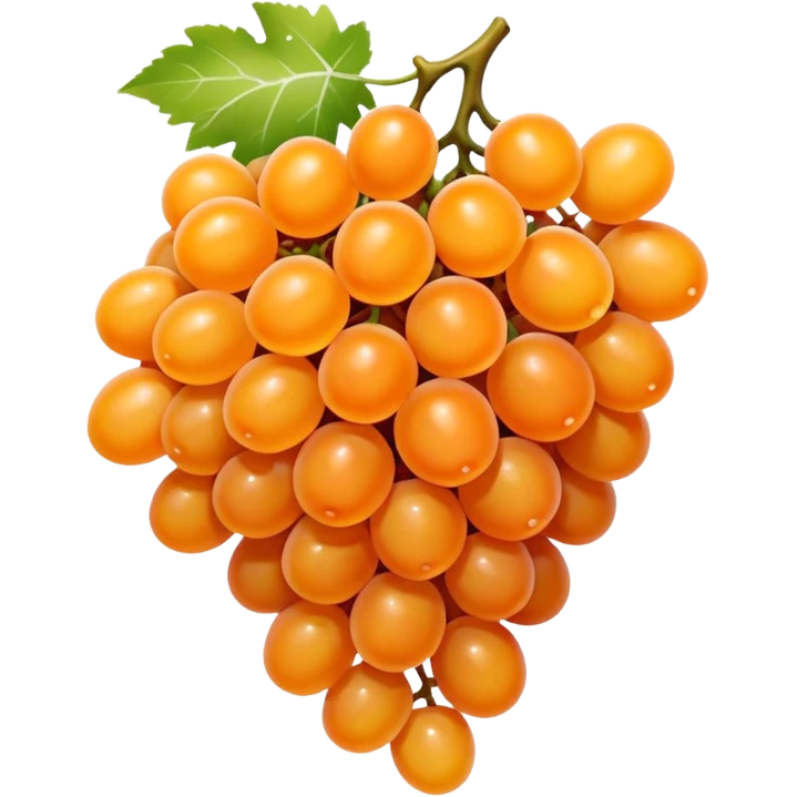 orange grapes emoji