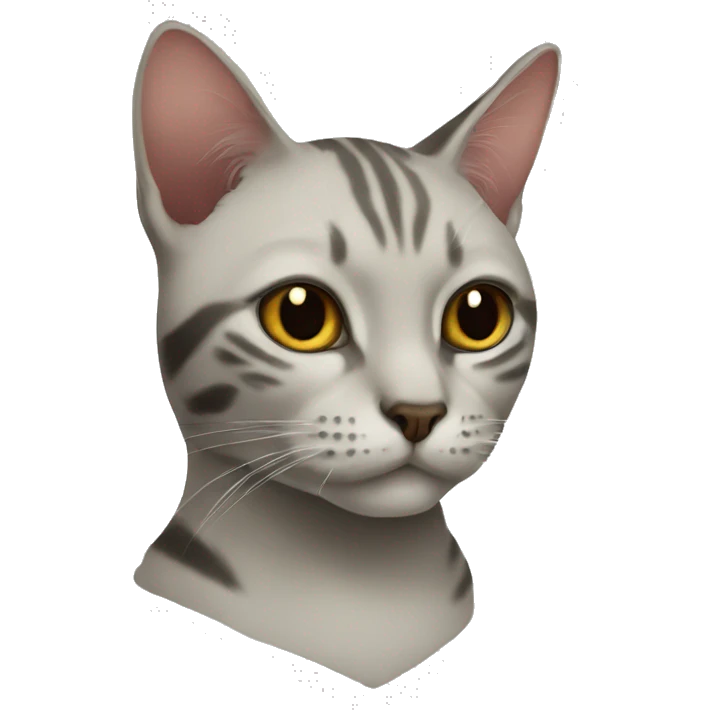 Siam kat emoji