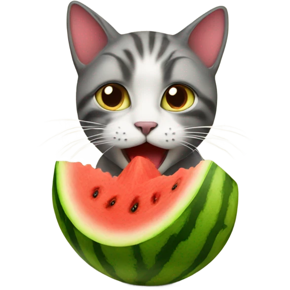 Cat eating a watermelon  emoji