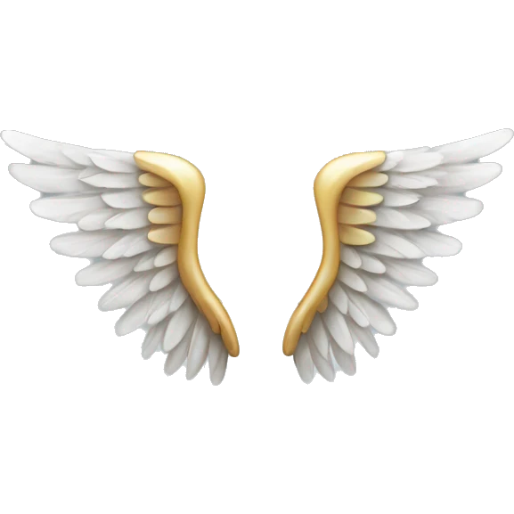 Both angel wing emoji
