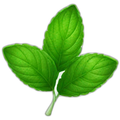 peppermint leaves emoji