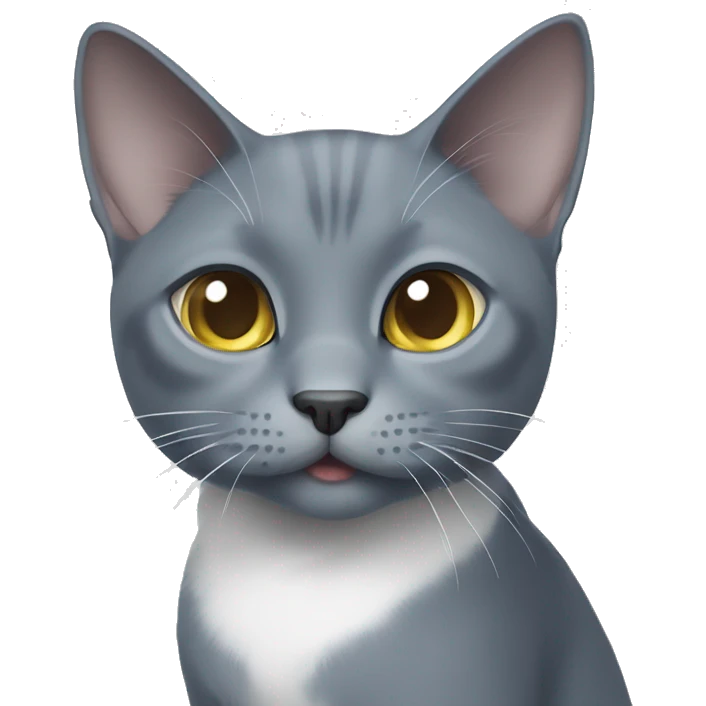 Russian blue cat with white chest and white paws asking for food emoji