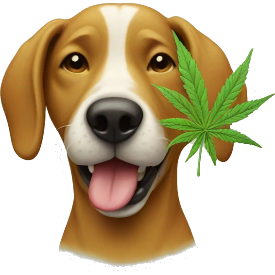 Happy dog smoking weed  emoji