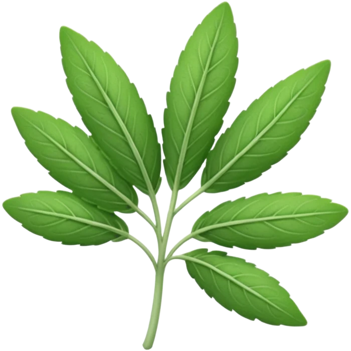 sage herb emoji
