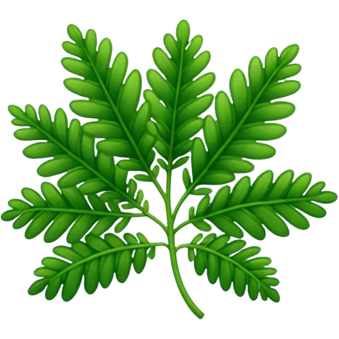 Selaginella  emoji