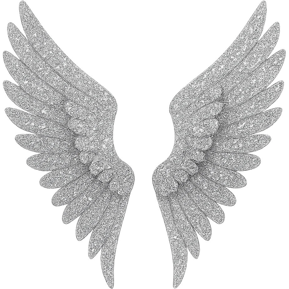  glitter wings, remove background emoji