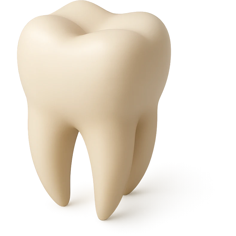 realistic human tooth with subtle shadows emoji