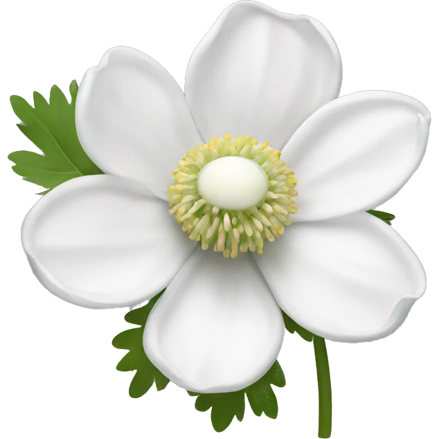 white anemone flower emoji