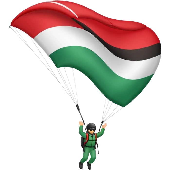 a palestinian flag with a paraglider emoji