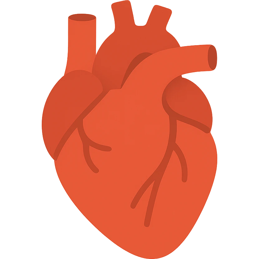 An anatomic heart emoji