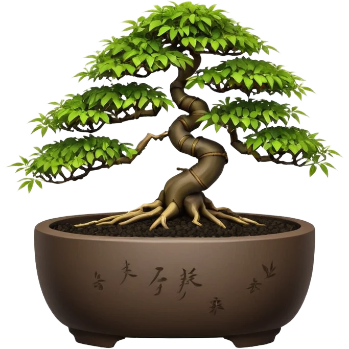 Shohin egg-shaped dark bamboo maple tree bonsai pot emoji