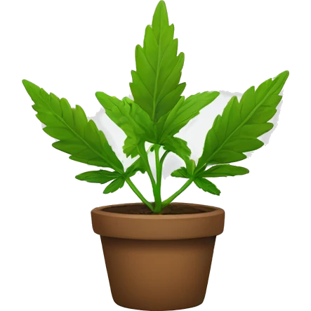 Weed plant emoji