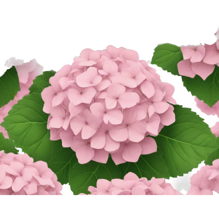 light pink hydrangea  emoji