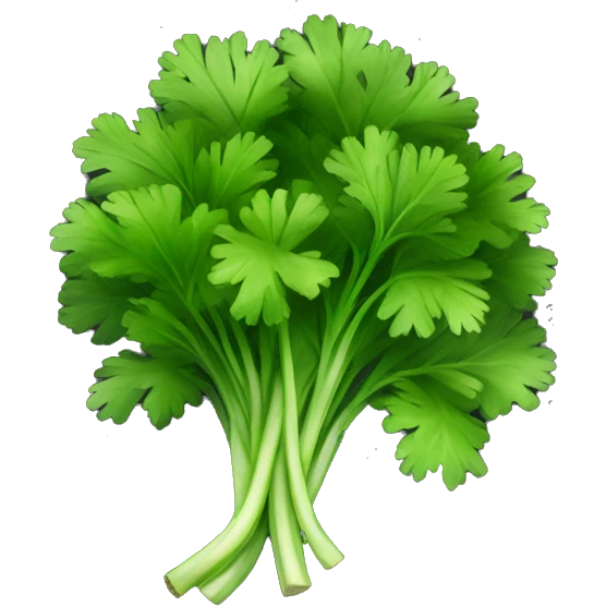 cilantro with black background emoji