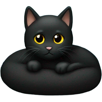 black cat on blue fuzzy pillow  emoji