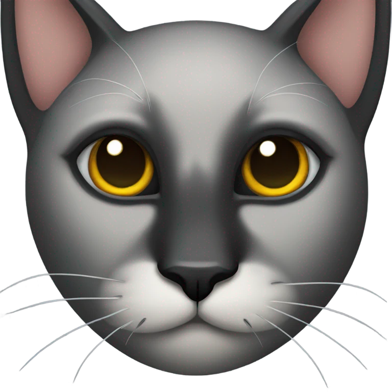 Black cat with one eye emoji