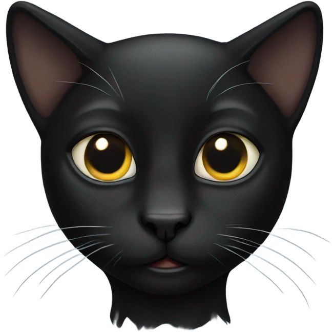 black cat  emoji
