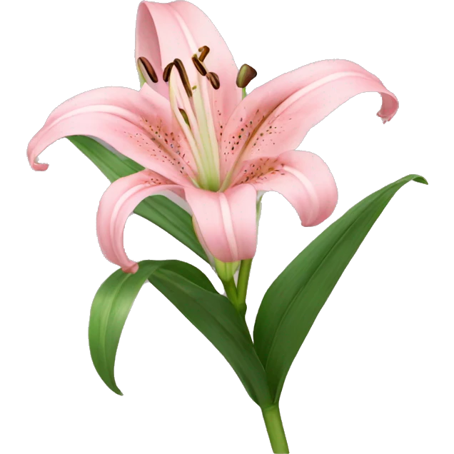 light pink lilium emoji