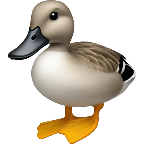 Gadwall duck emoji