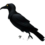 Nevermore Academy. Haunted Addams house. Ship-birdhouse  emoji