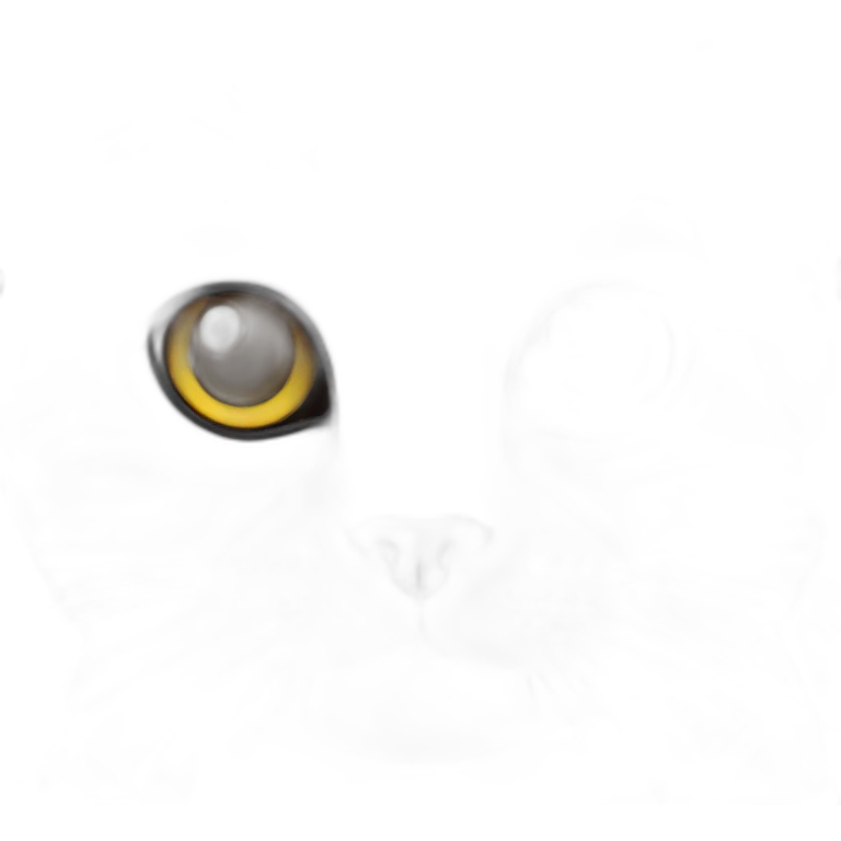 american Shorthair cat emoji