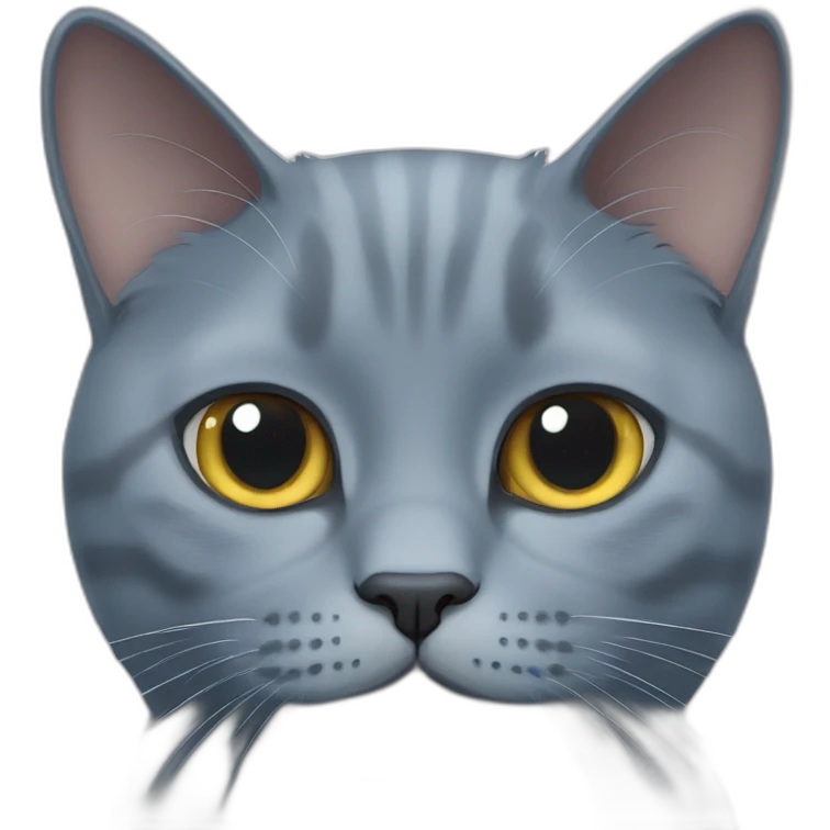 British blue cat emoji