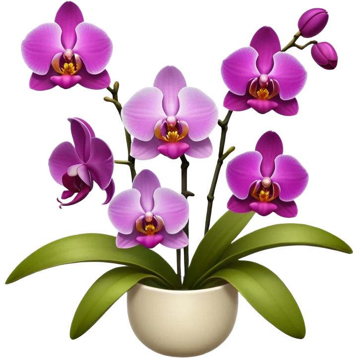ORCHIDS emoji
