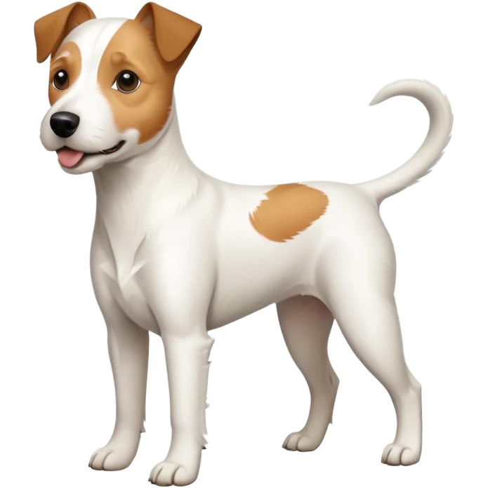a full body white parson russell looking dog the size of a kelpie with light brown ears and a light brown patch on one eye and a large snout emoji