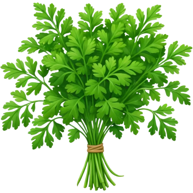 coriander big  bunch emoji