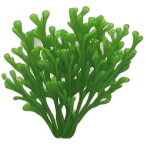 seaweed emoji