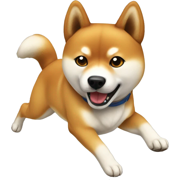 Sport Shiba Inu funny  emoji