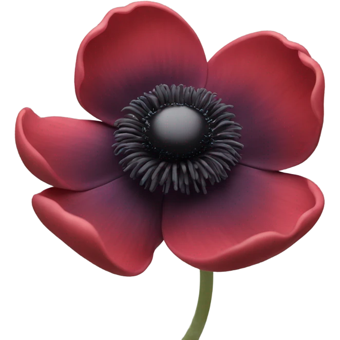 black and red anemone flower emoji
