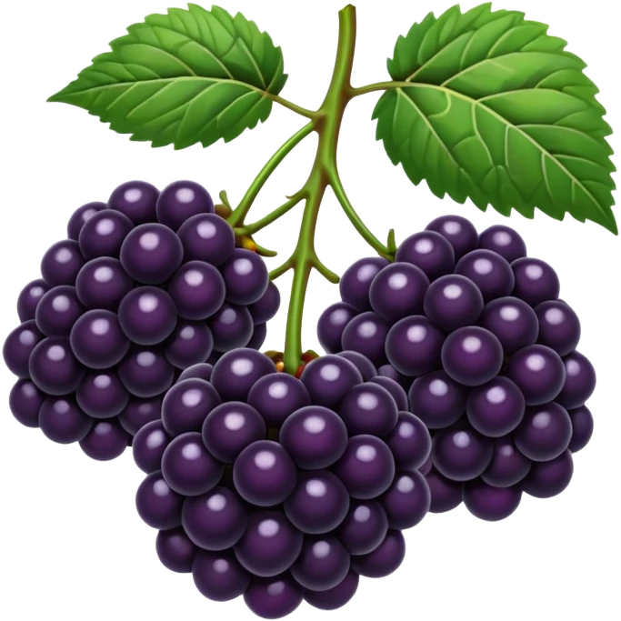 blackberries emoji