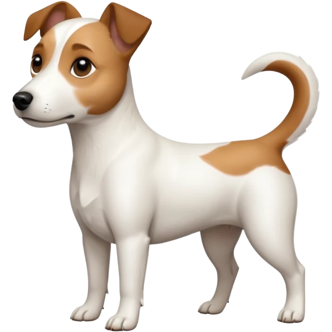 a full body white jack russel looking dog the size of a kelpie with light brown ears and a light brown patch on one eye, flopped down ears and a large snout emoji