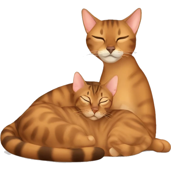 Abyssinian and Bengal cat sleeping  emoji