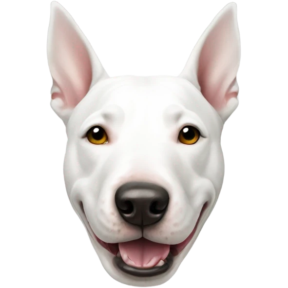 All white bull terrier  emoji