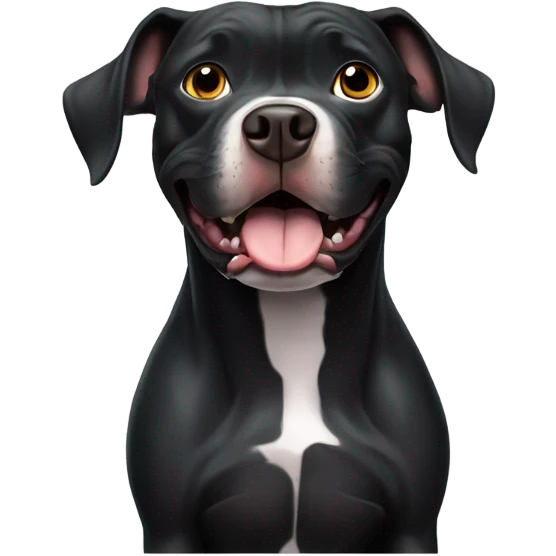 Scared Black pit bull with white chest emoji