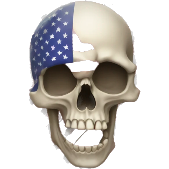 Skull flag emoji