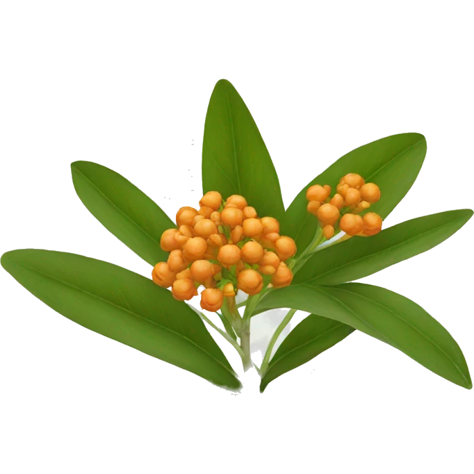 milkweed orange emoji