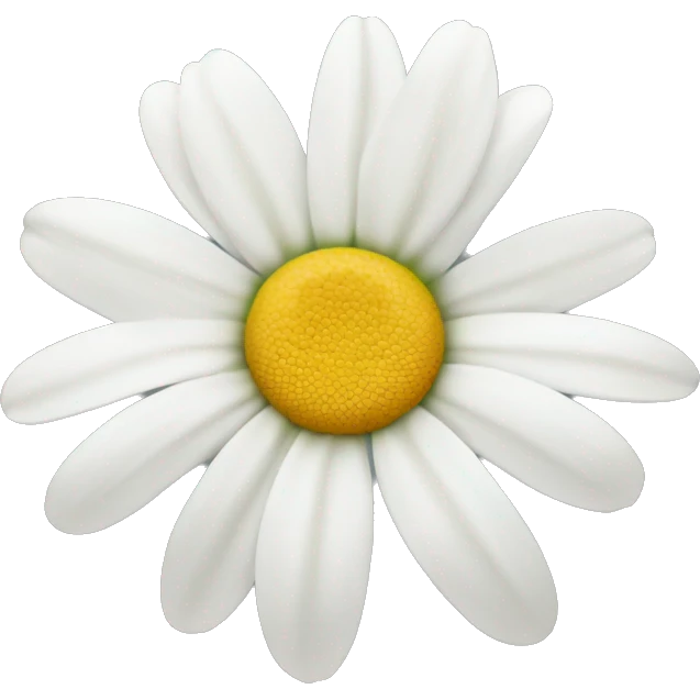 Pretty daisy with white petals.  emoji